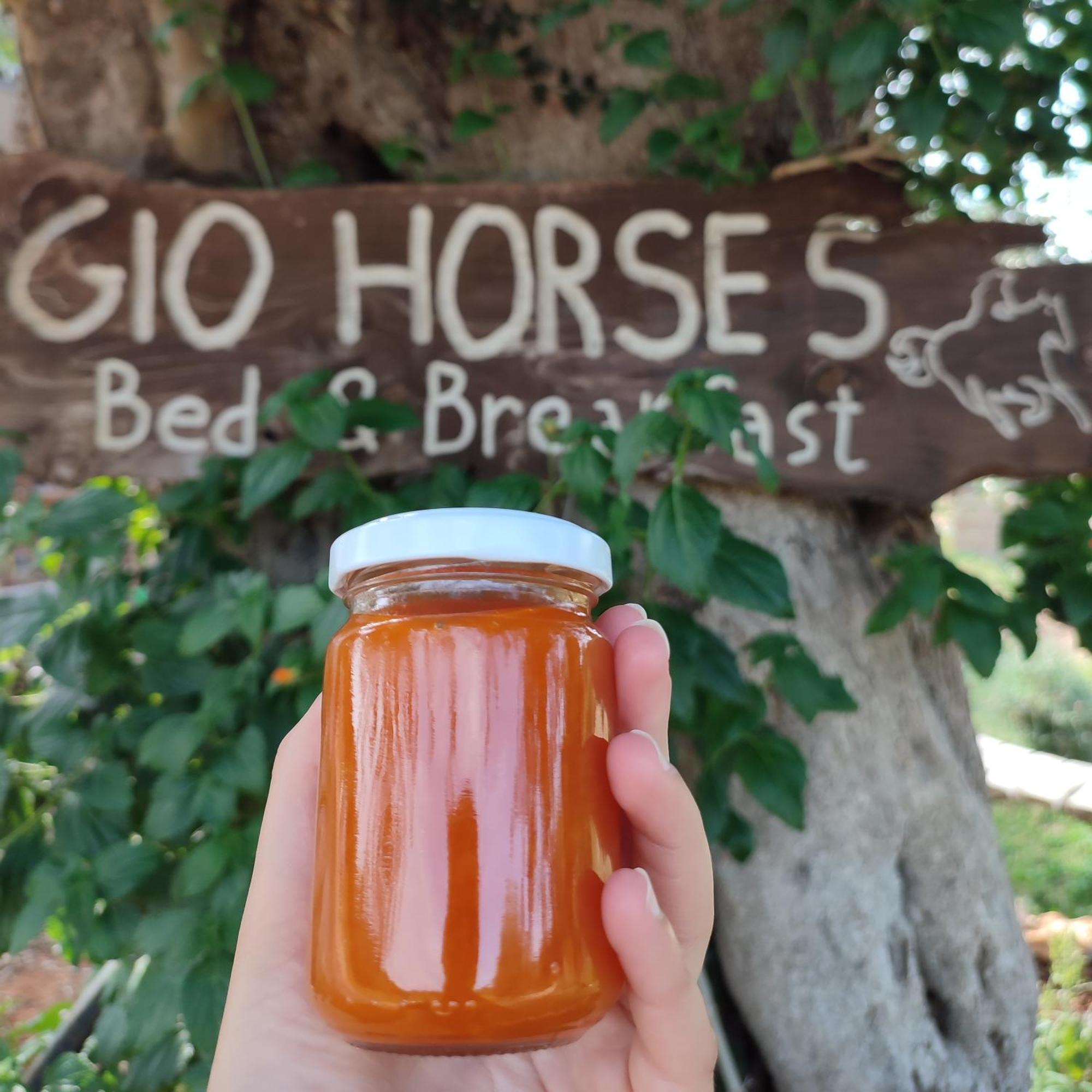 Gio Horses B&B San Nicandro Garganico Eksteriør billede