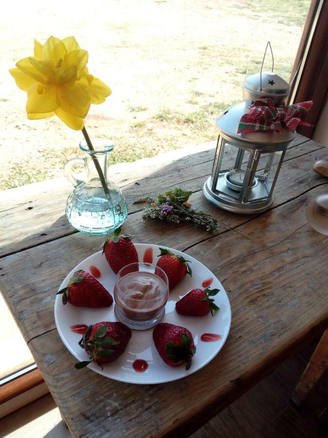Gio Horses B&B San Nicandro Garganico Eksteriør billede